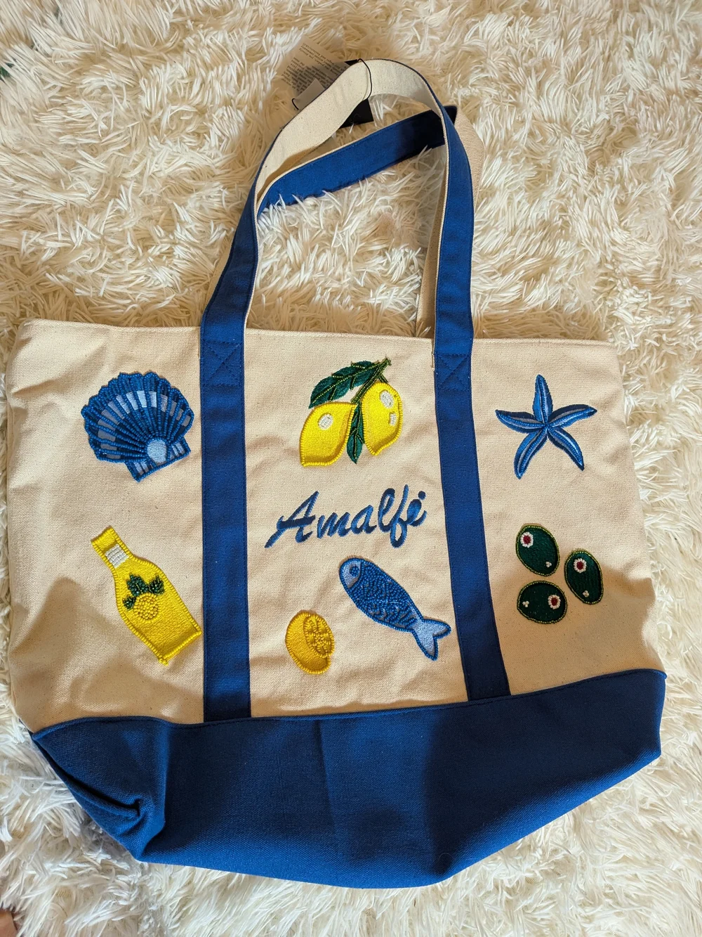 Viral NWT America & Beyond Amalfi Embroidered Canvas Tote Bag